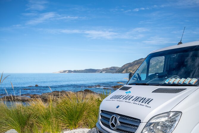Kaikoura Whale Watch Tour from Christchurch - Small Group - Why Kaikōura is such a strong whale-watching setting