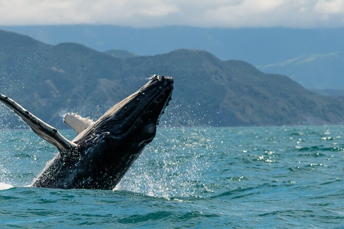 Kaikoura Whale Watch Tour from Christchurch - Small Group - State Highway 1 and the stop at Cheviot