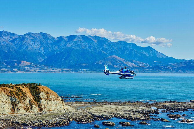 Kaikōura Whale Watching - 1hr 20min Ultimate Adventure - Why a helicopter changes Kaikōura whale watching