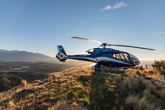 Kaikoura Whale Watching - 45 Minute Ocean Safari - The remote coastal hilltop landing