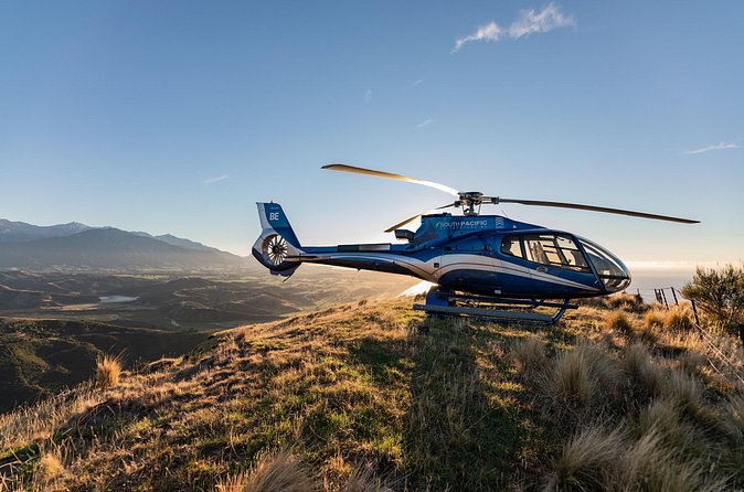 Kaikoura Whale Watching - 45 Minute Ocean Safari - The price: what you are really paying for