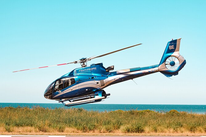 Kaikoura Whale Watching - 45 Minute Ocean Safari - A practical plan for booking day