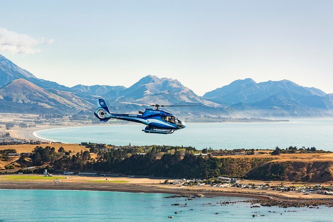 Kaikōura Whale Watching and Scenic Landing - 1hr Premier Tour - Why Kaikōura Canyon is such a good place to fly