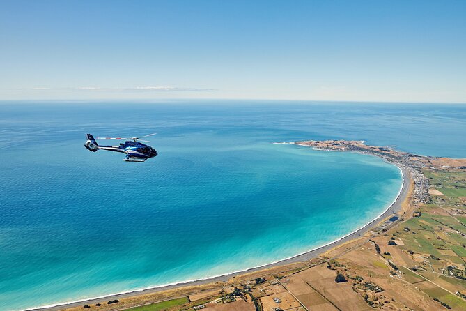 Kaikōura Whale Watching and Scenic Landing - 1hr Premier Tour - Small groups and the personal feel