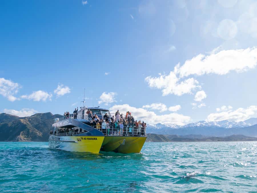 Kaikoura: Whale Watching Cruise - Why Kaikoura is such a good place for whale watching