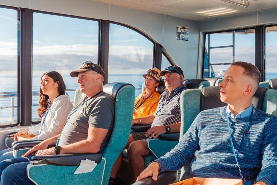 Kaikoura: Whale Watching Cruise - Dolphins, seals, birds, and occasional surprises