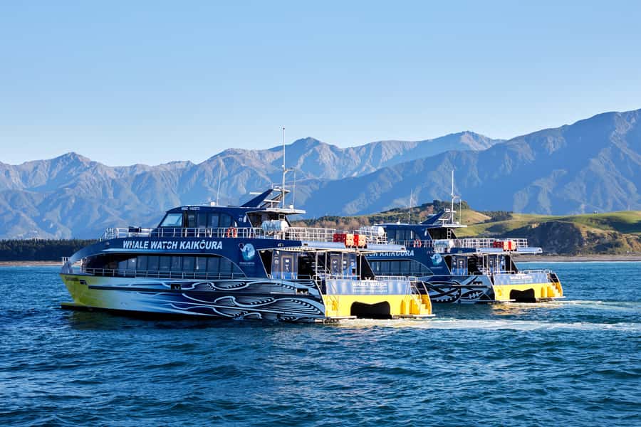 Kaikoura: Whale Watching Cruise - Who will enjoy this cruise most?