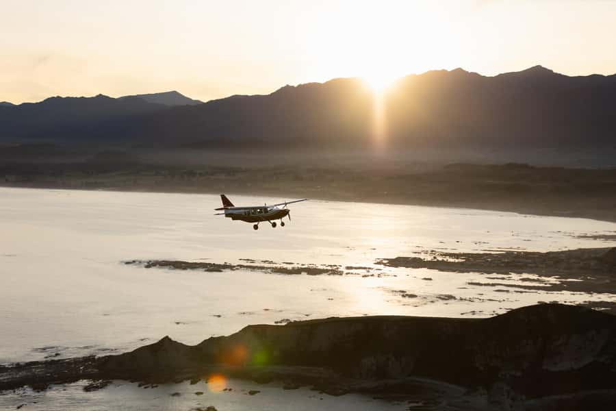 Kaikoura: Whale Watching Flight with Commentary - Why seeing a sperm whale from the air feels different