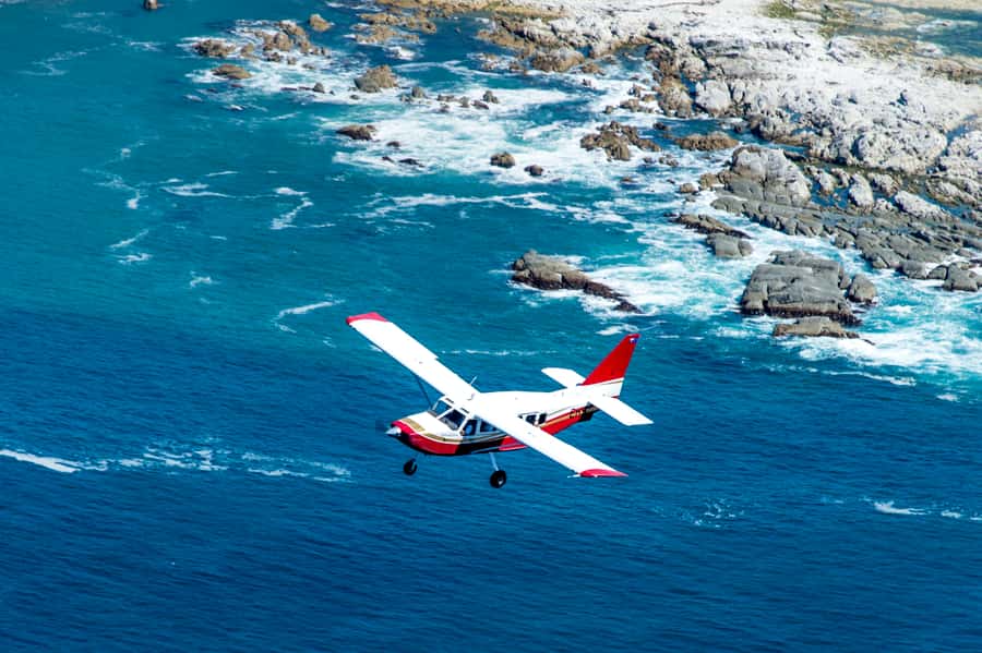 Kaikoura: Whale Watching Flight with Commentary - The return flight is part of the price
