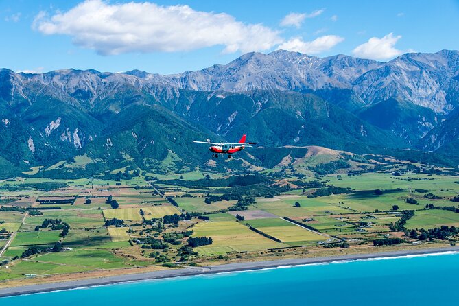 Kaikōura Whale Watching Scenic Flight (40 Minutes) - How the pilots manage the viewing