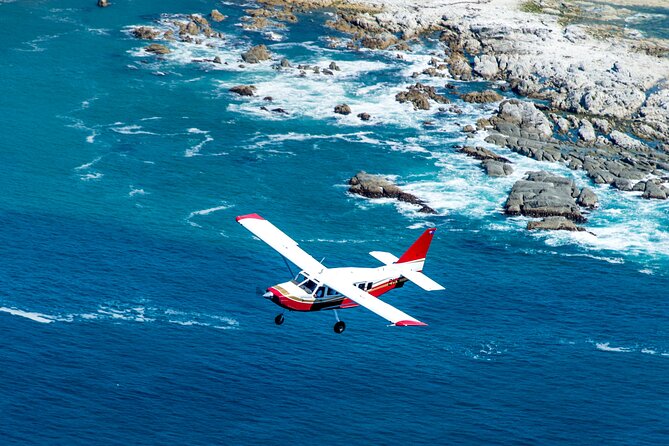 Kaikōura Whale Watching Scenic Flight (40 Minutes) - Weather, cancellations, and the wildlife gamble