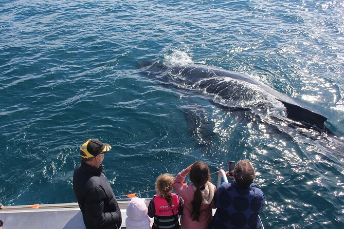 Kalbarri Whale Watching Tour - Meeting the boat at Kalbarri Maritime Facility