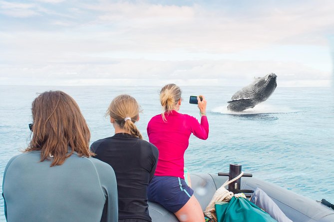 Kauai Raft Adventure: Whale Watch Discovery - A Two-Hour Search for Whales off Kauai