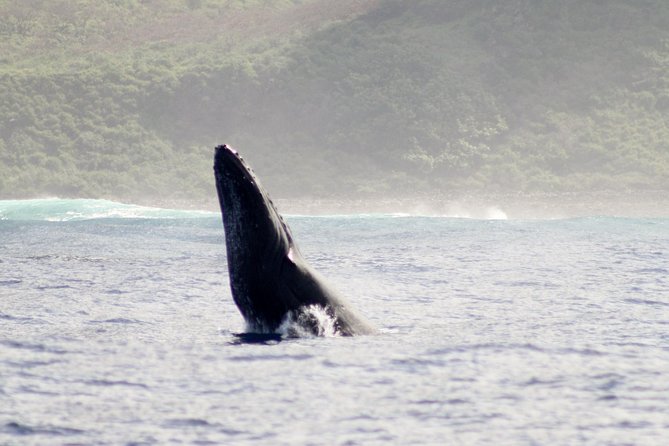 Kauai Raft Adventure: Whale Watch Discovery - Listening to Whales with an Underwater Hydrophone