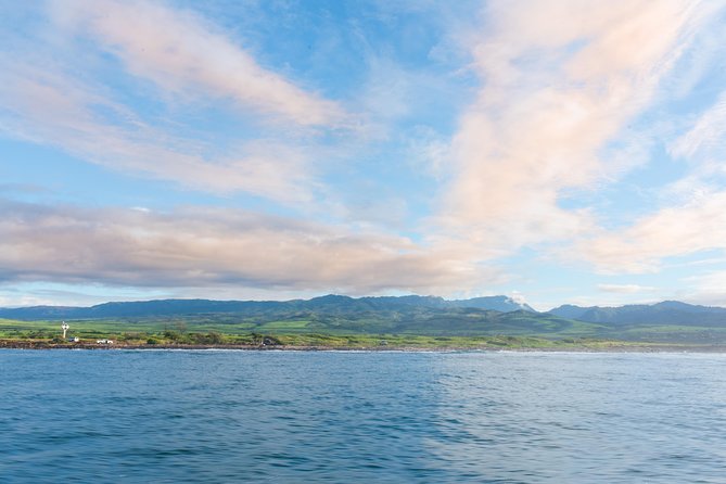 Kauai Raft Adventure: Whale Watch Discovery - When the Ocean Changes the Plan