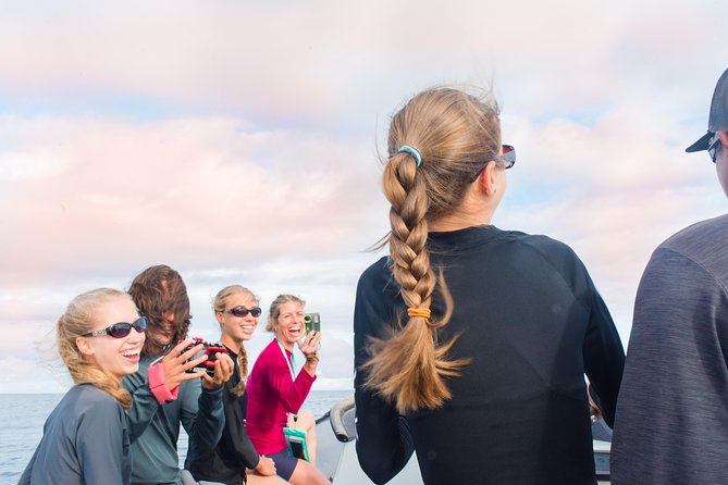 Kauai Raft Adventure: Whale Watch Discovery - The Raft Ride Is Part of the Attraction