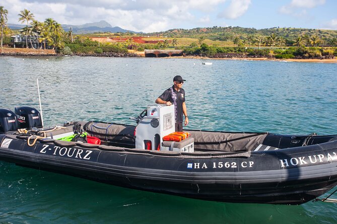 Kauai's South Side Whale and Dolphin Zodiac Boat Adventure - A fast start from Kukuiʻula Harbor