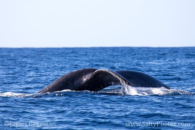 Kauai's South Side Whale and Dolphin Zodiac Boat Adventure - How wet and rough should you expect it to be?