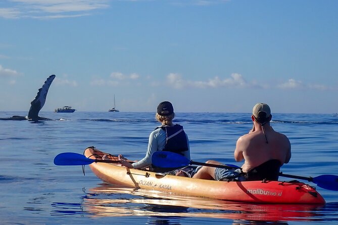 Kayak and Whale Watching Tour - Who will enjoy this outing most