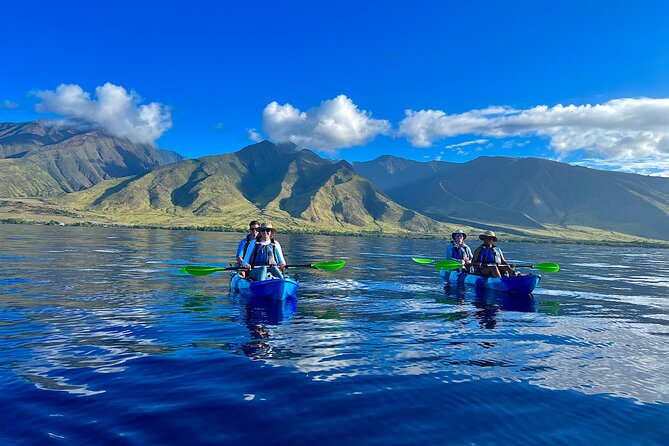 Kayak & Turtle Town Snorkel(Turtles Guaranteed) + Whale Watching - Key points before you book