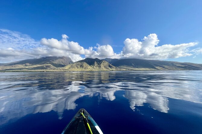 Kayak & Turtle Town Snorkel(Turtles Guaranteed) + Whale Watching - Why Olowalu makes a good starting point