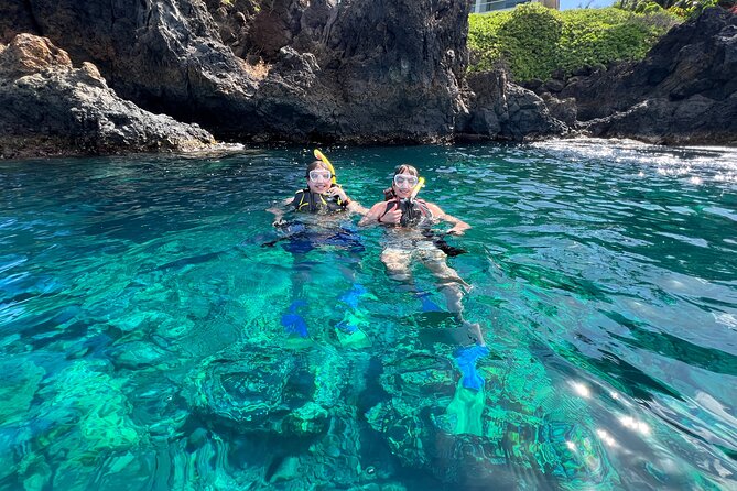 Kayak & Turtle Town Snorkel(Turtles Guaranteed) + Whale Watching - Guides who make the difference