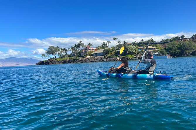 Kayak & Turtle Town Snorkel(Turtles Guaranteed) + Whale Watching - The best and weakest parts of the experience