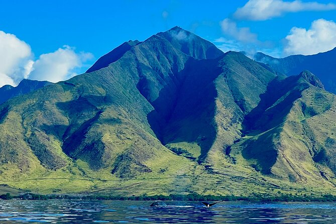 Kayak & Turtle Town Snorkel(Turtles Guaranteed) + Whale Watching - Paddling the West Maui coast