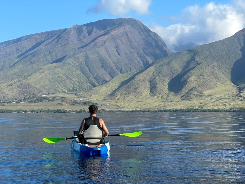 Kayak, Whale Watch And Snorkel At Turtle Town - Is the $109 Price Fair?