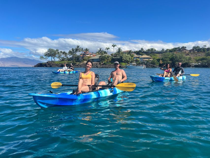 Kayak, Whale Watch And Snorkel At Turtle Town - Who Will Enjoy This Most