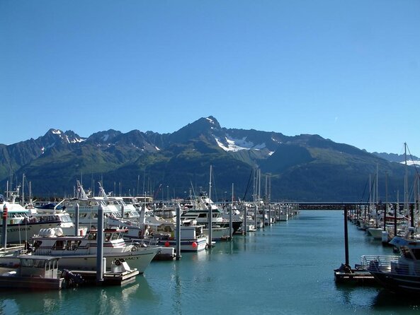 Kenai Fjords Orca Quest Cruise - Key points to know before you book