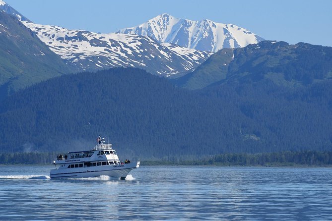 Kenai Fjords Orca Quest Cruise - Comfort, motion, and the open-water tradeoff