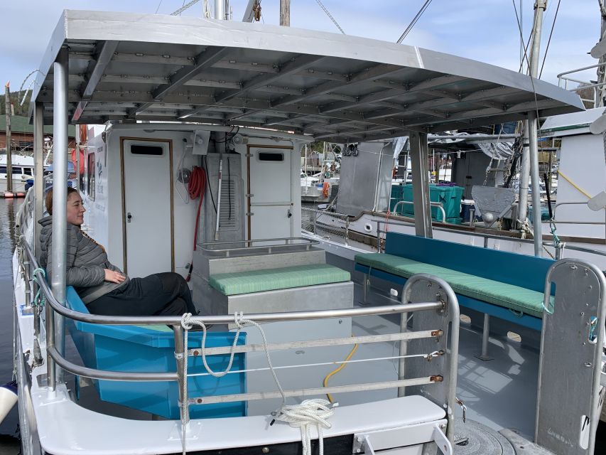 Ketchikan: Marine Wildlife and Whale Watching Boat Tour - The 15-minute run to the next viewing area