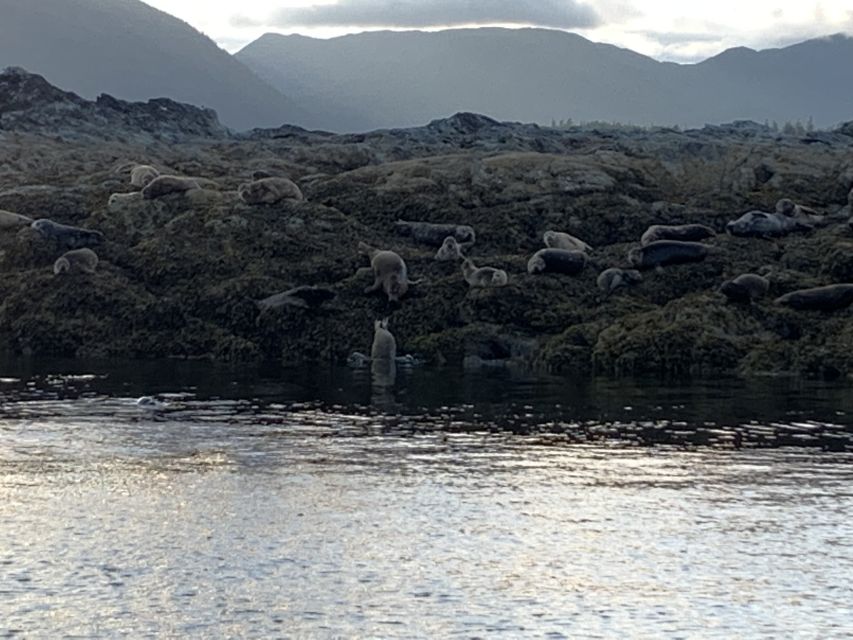 Ketchikan: Marine Wildlife and Whale Watching Boat Tour - The final 15-minute cruise back to Ketchikan