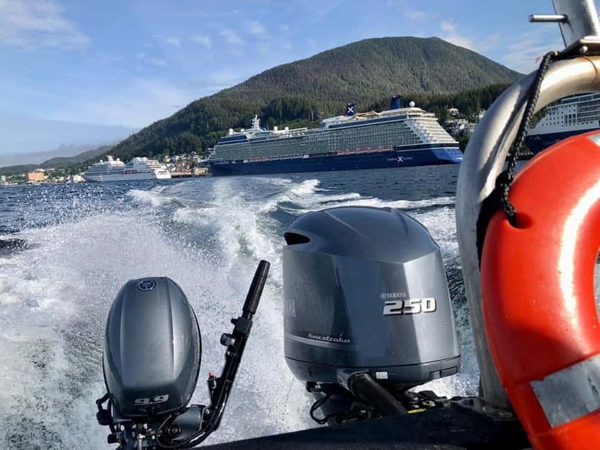 Ketchikan: Orca Cove Fast Boat and Sea Kayak Tour - Should You Book the Orca Cove Tour?