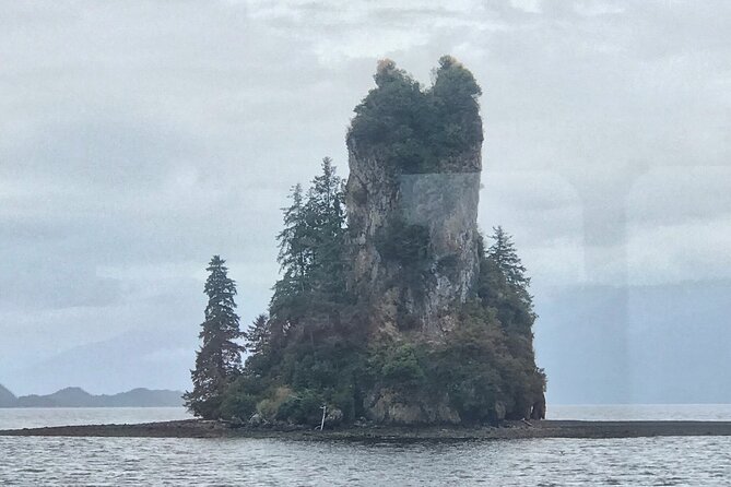 Ketchikan Whale Watching and Nature Tour - The wildlife search, species by species