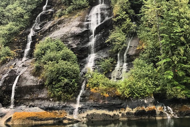 Ketchikan Whale Watching and Nature Tour - Is the $3,000 private charter worth it?