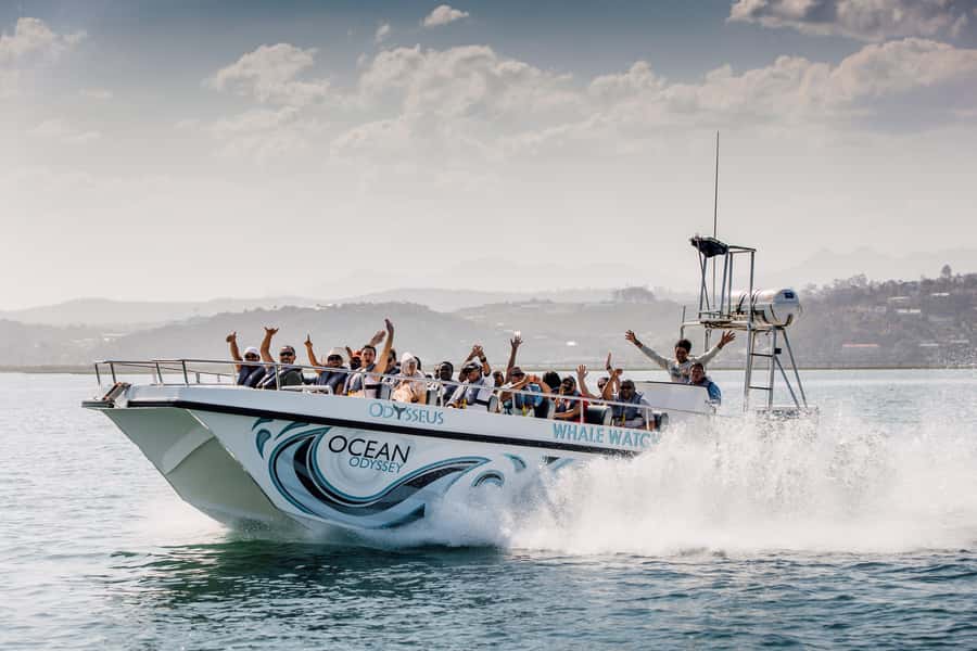 Knysna: Close Encounter Whale Watching Tour by Boat - Why this Knysna whale tour is different