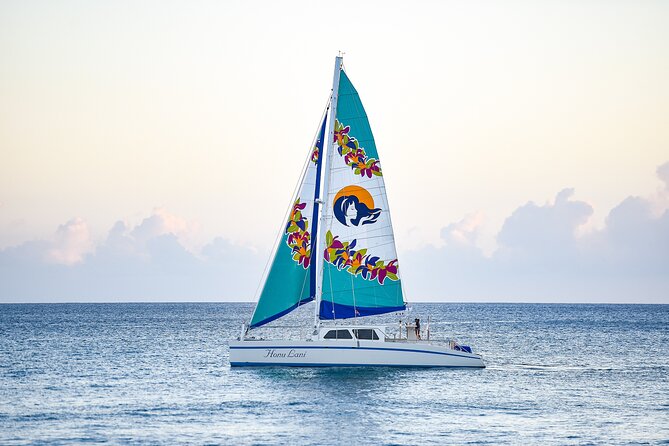 Kona Deluxe Catamaran Whale Watch - What the whale guarantee really gives you
