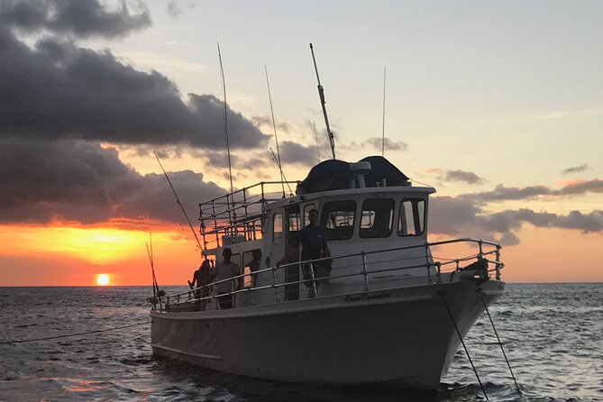 Kona's Guaranteed Whale Watch: An Unforgettable Ocean Encounter - A Boat Built for Searching
