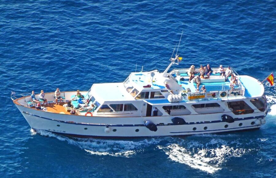 La Gomera: Whale Watching Tour on an Dynamic Boat - Setting out from La Gomera’s south coast