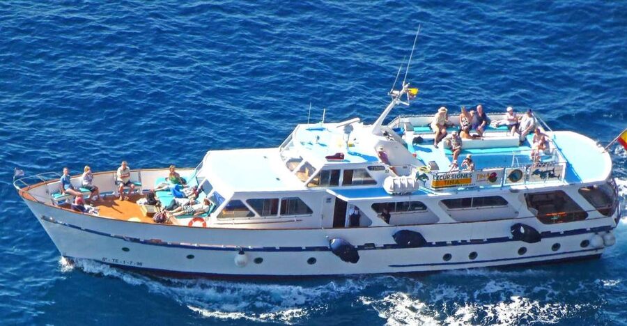 La Gomera: Whale Watching Tour on an Dynamic Boat - The boat experience: small, modern, and subject to change