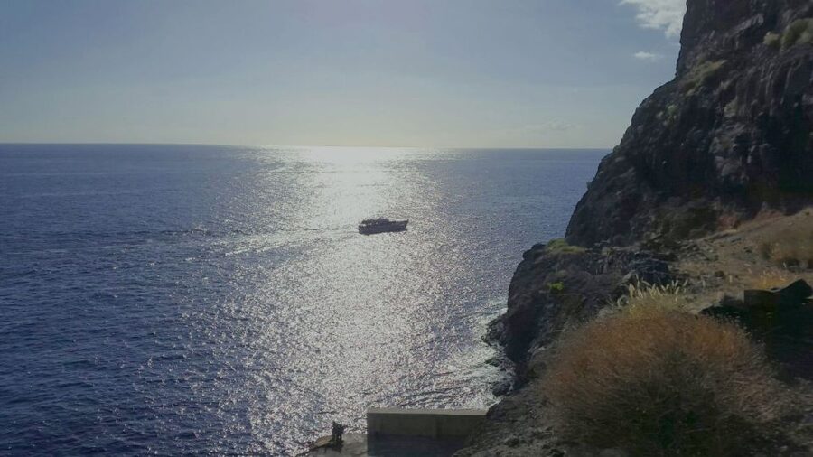 La Gomera: Whale Watching Tour on an Dynamic Boat - Snacks and drinks: keep expectations modest