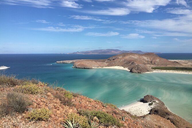 La Paz Whale Shark & Sea Lion Snorkeling + Balandra Tour - A Six-Hour La Paz Boat Day With Three Strong Stops