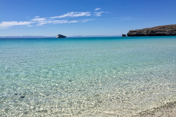 La Paz Whale Shark & Sea Lion Snorkeling + Balandra Tour - What the Small Group Adds to the Price