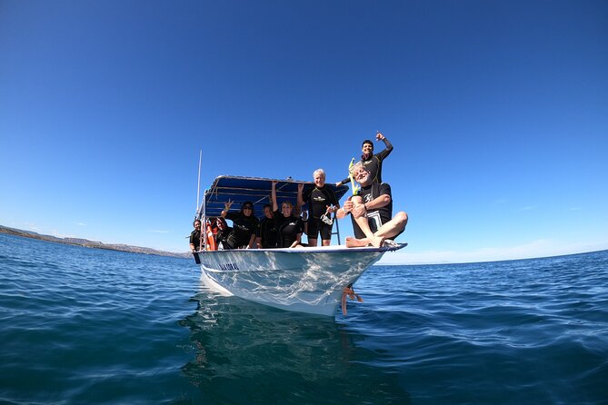 La Paz Whale Shark Snorkeling Tour and Lunch From Los Cabos - Safety, swimming ability, and family suitability