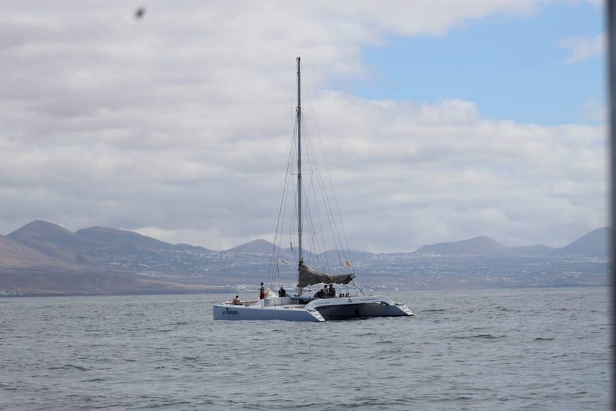 Lanzarote: Whale and Dolphin Watching Eco-Friendly Catamaran - A quiet start at Puerto Calero’s Dock F22