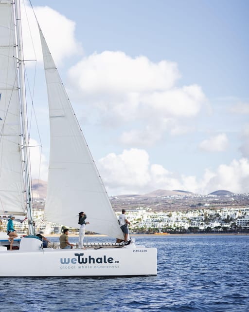 Lanzarote: Whale and Dolphin Watching Eco-Friendly Catamaran - What the price means at $112 per person