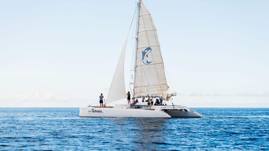 Lanzarote: Whale and Dolphin Watching Eco-Friendly Catamaran - Who will enjoy this catamaran most