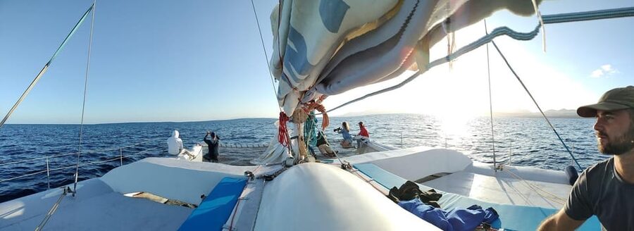 Lanzarote: Whale and Dolphin Watching Eco-Friendly Catamaran - Should you book the WeWhale Lanzarote catamaran?